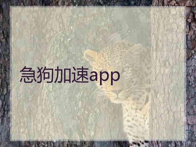 急狗加速app