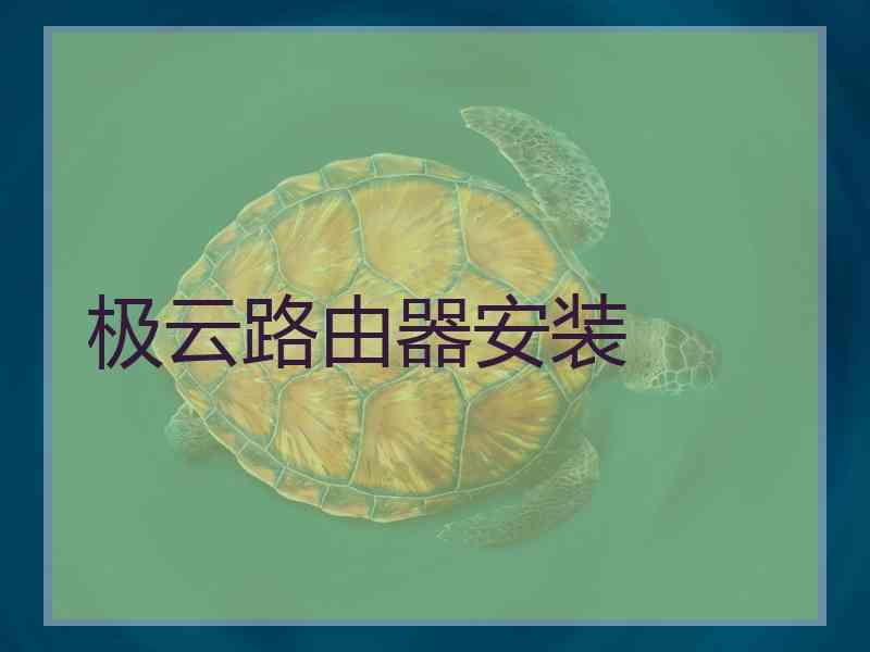 极云路由器安装