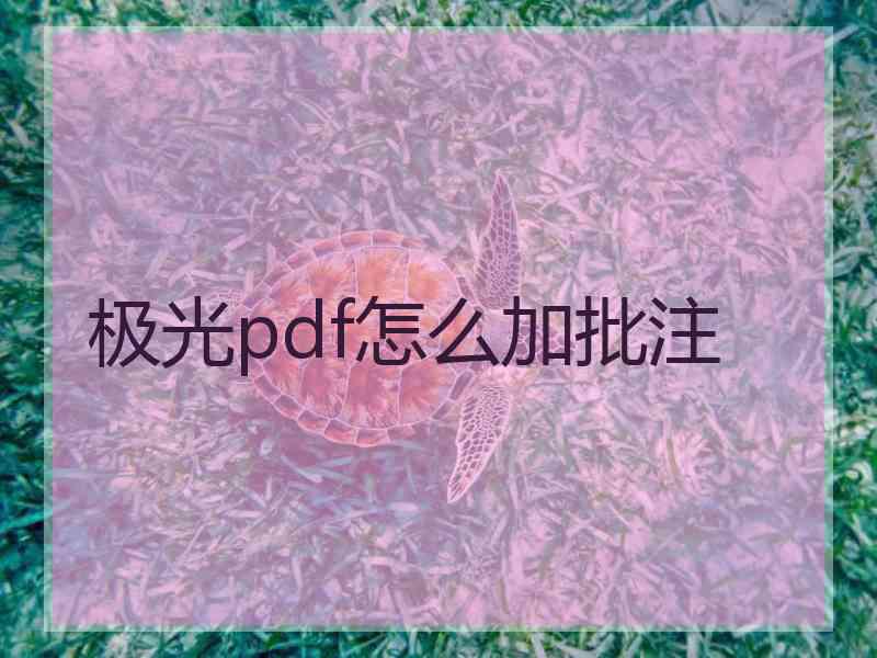 极光pdf怎么加批注
