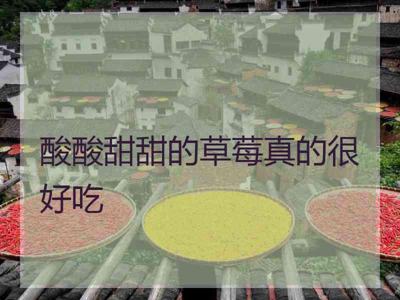酸酸甜甜的草莓真的很好吃