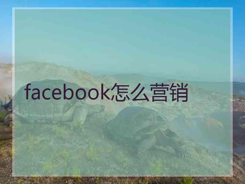 facebook怎么营销