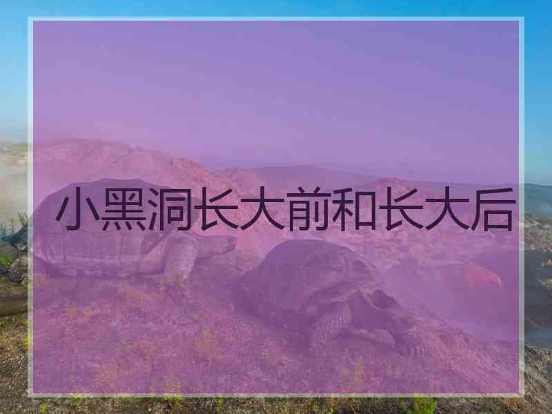 小黑洞长大前和长大后