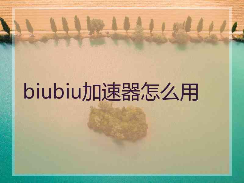 biubiu加速器怎么用
