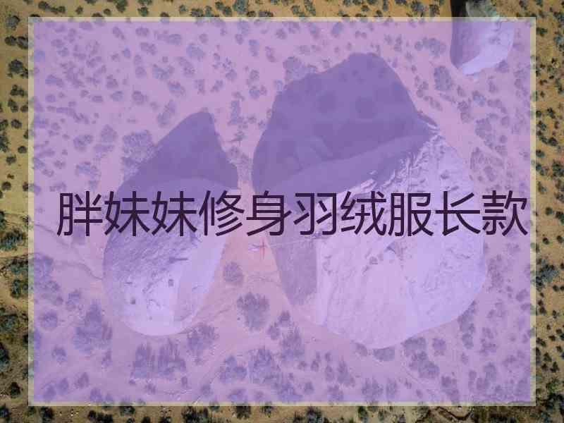 胖妹妹修身羽绒服长款