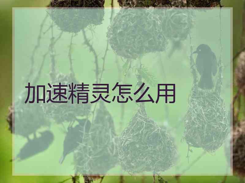 加速精灵怎么用
