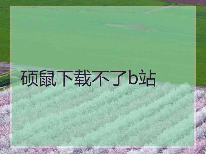硕鼠下载不了b站