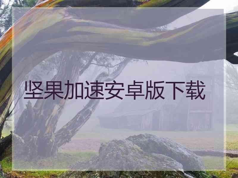 坚果加速安卓版下载