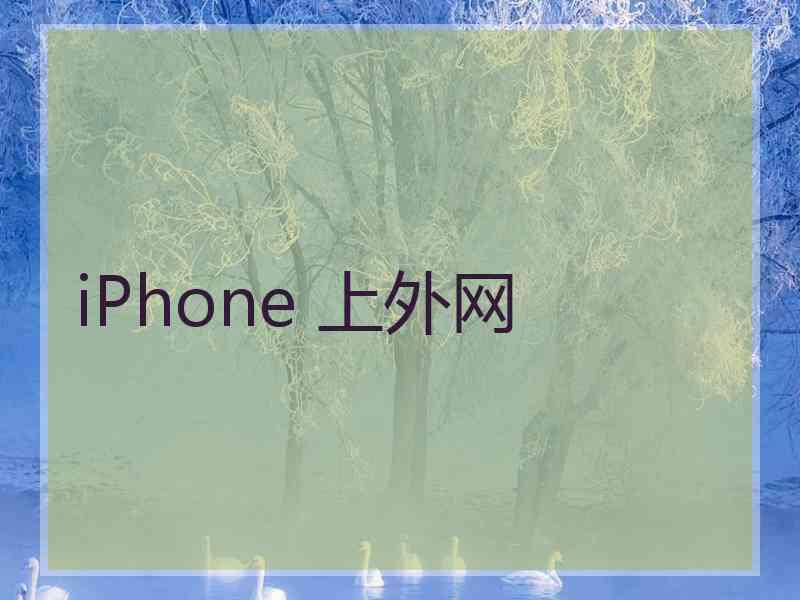 iPhone 上外网