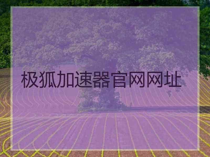 极狐加速器官网网址