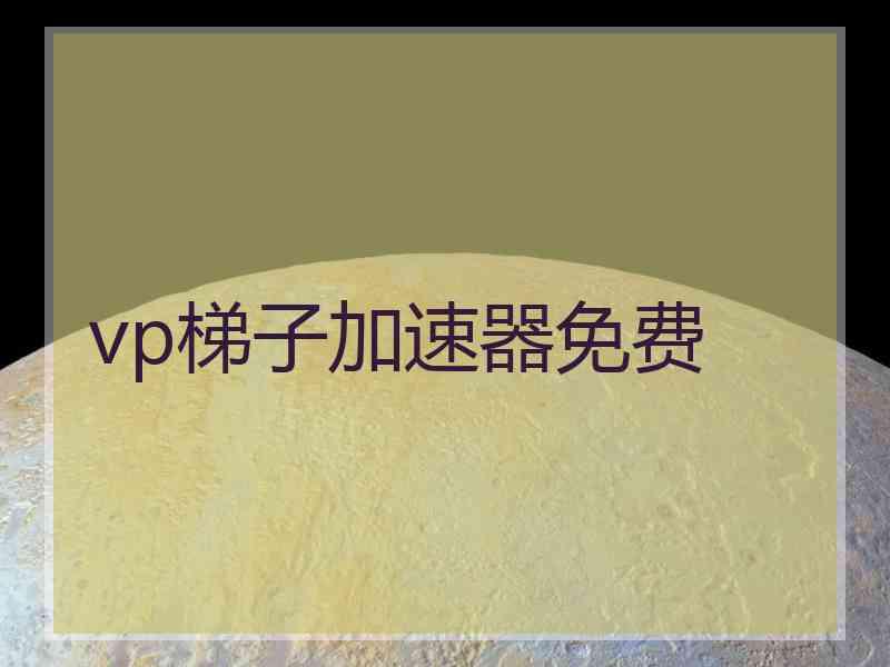vp梯子加速器免费