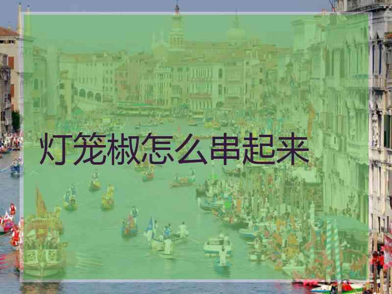 灯笼椒怎么串起来