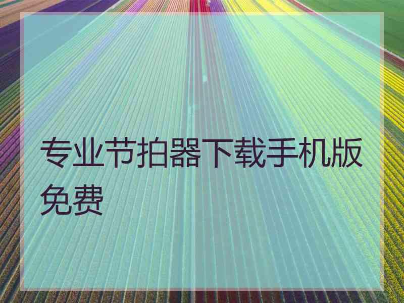 专业节拍器下载手机版免费