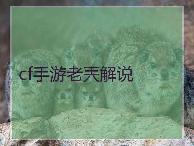cf手游老兲解说
