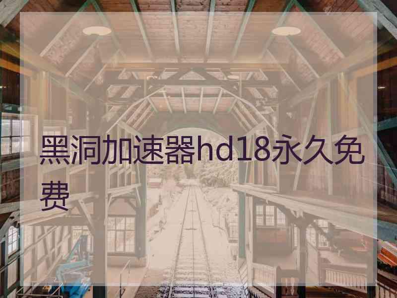 黑洞加速器hd18永久免费