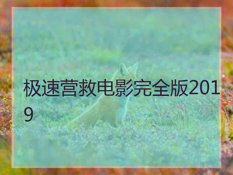 极速营救电影完全版2019