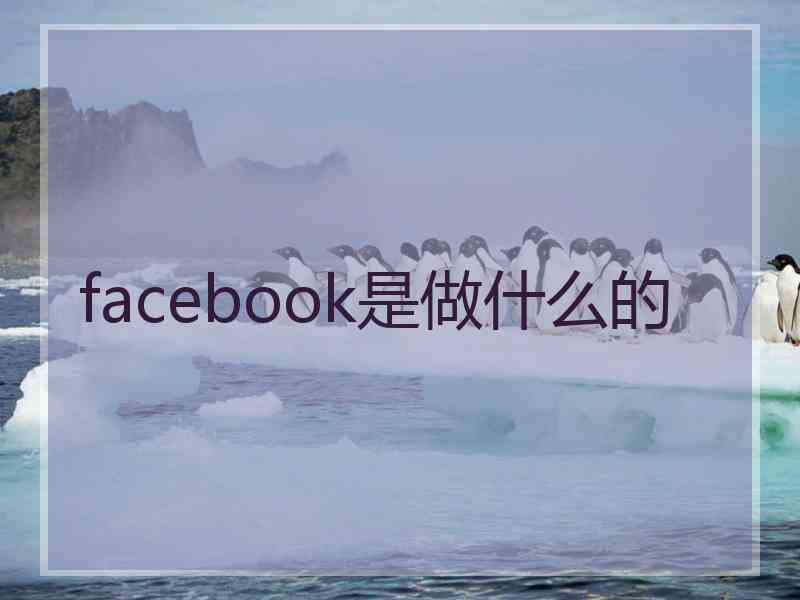 facebook是做什么的