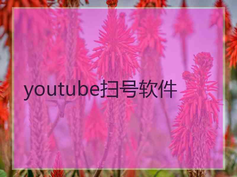 youtube扫号软件