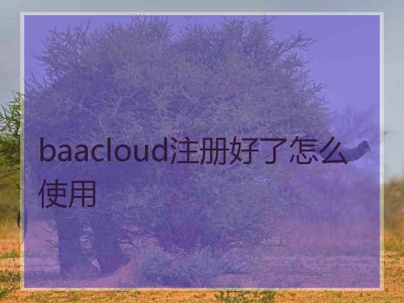 baacloud注册好了怎么使用