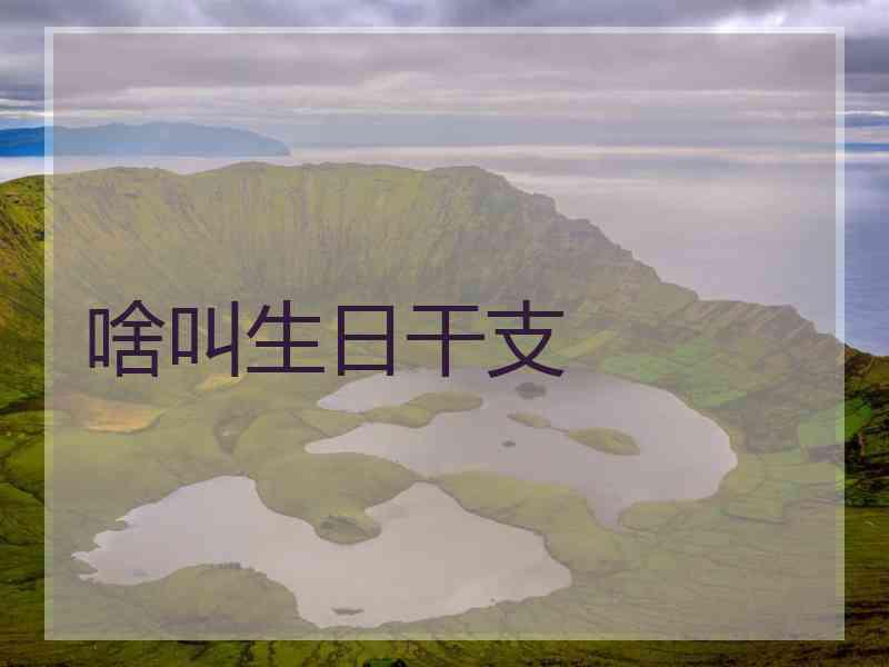 啥叫生日干支