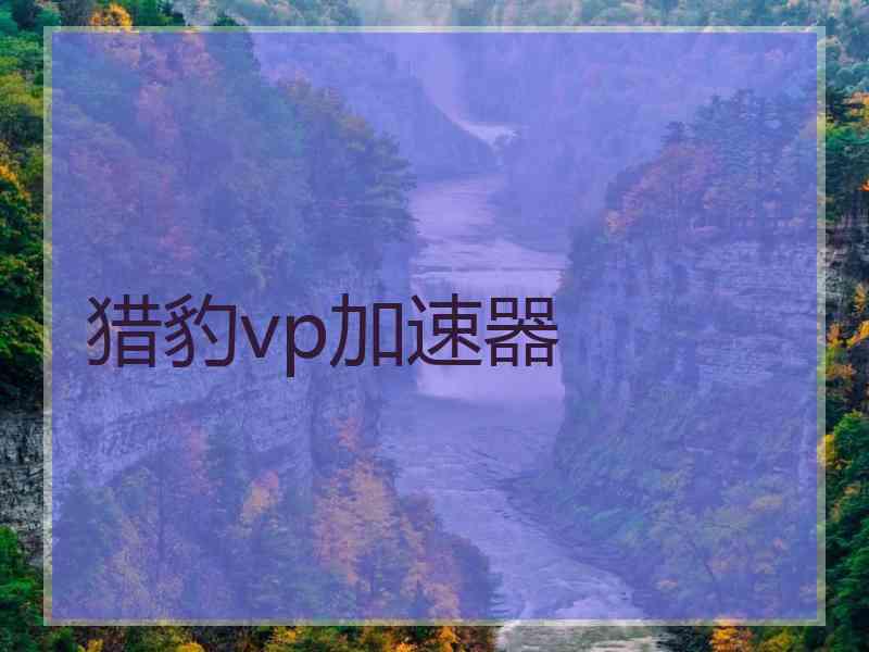 猎豹vp加速器