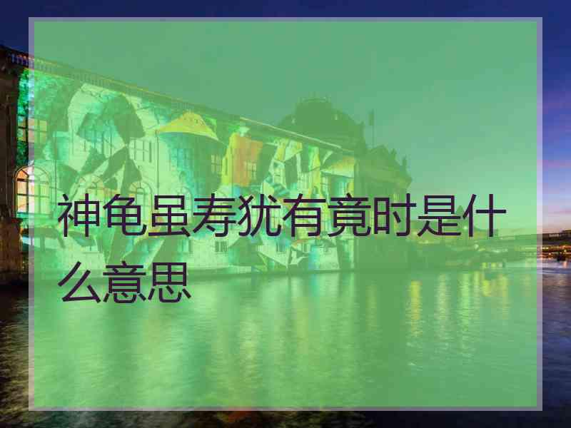神龟虽寿犹有竟时是什么意思