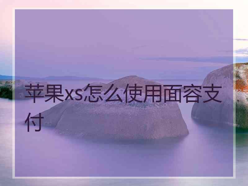 苹果xs怎么使用面容支付