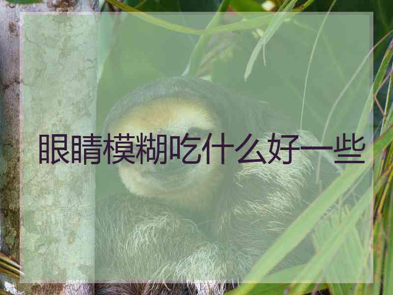 眼睛模糊吃什么好一些