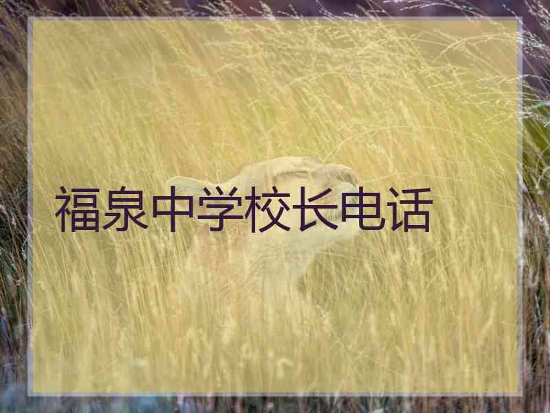 福泉中学校长电话