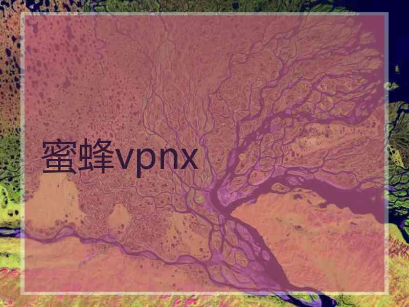 蜜蜂vpnx