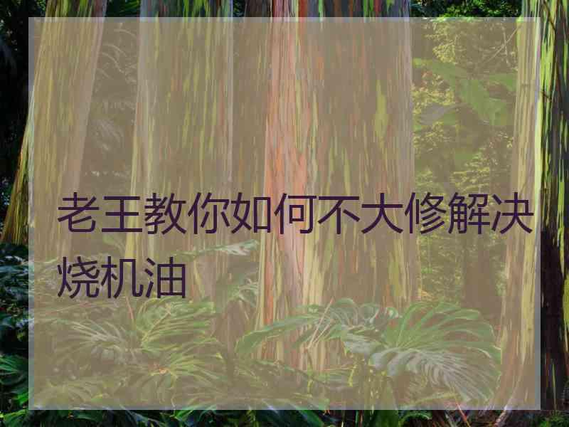 老王教你如何不大修解决烧机油