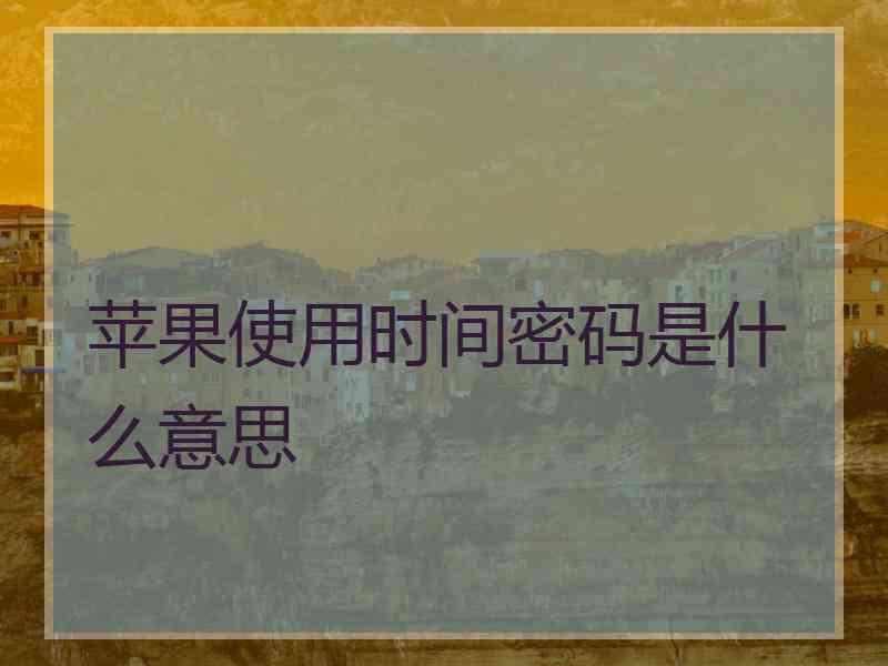苹果使用时间密码是什么意思