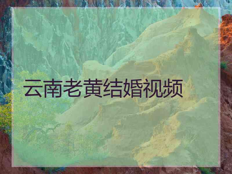 云南老黄结婚视频
