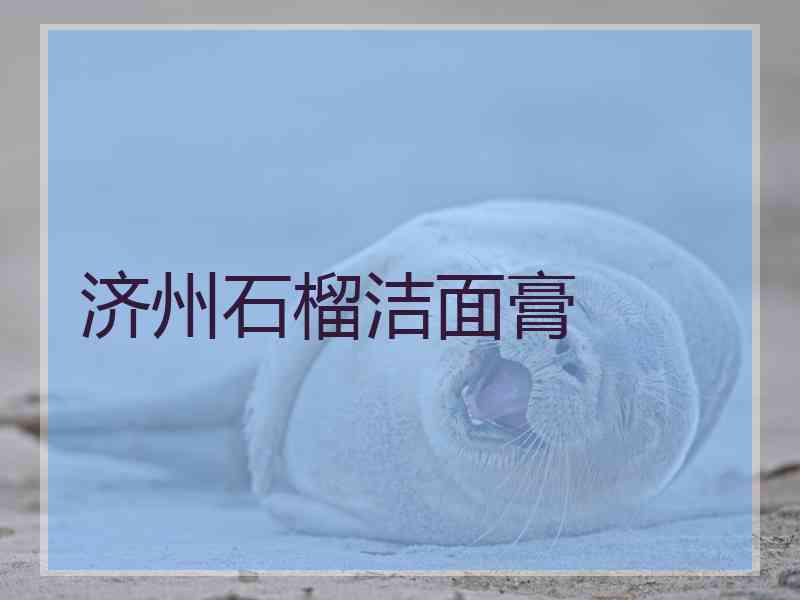 济州石榴洁面膏