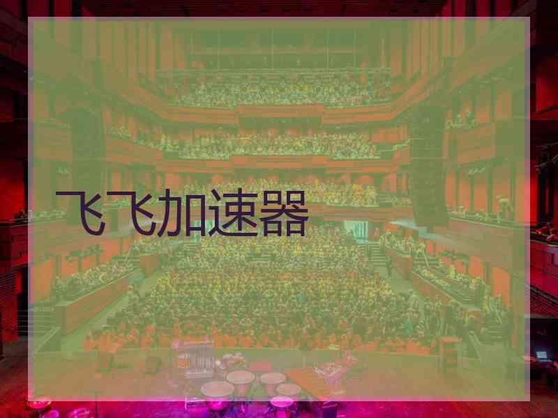 飞飞加速器