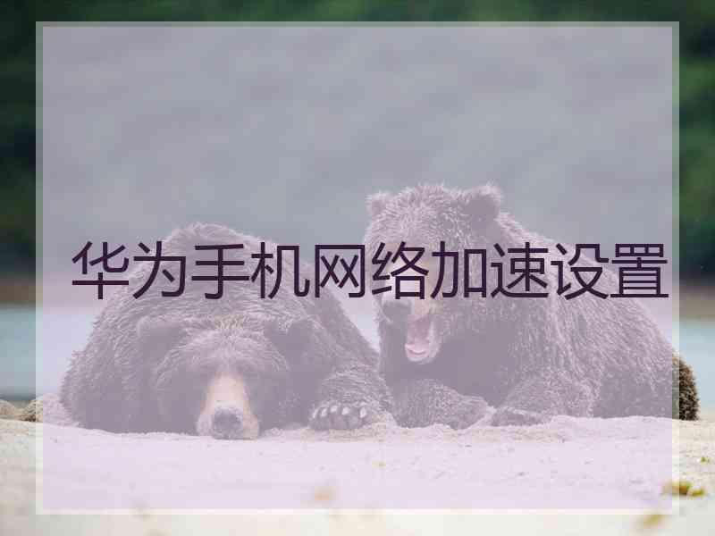 华为手机网络加速设置