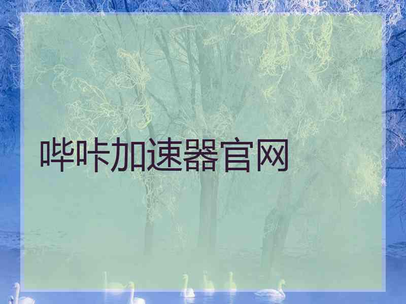 哔咔加速器官网