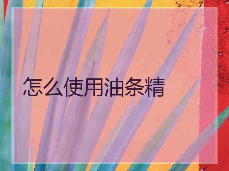 怎么使用油条精
