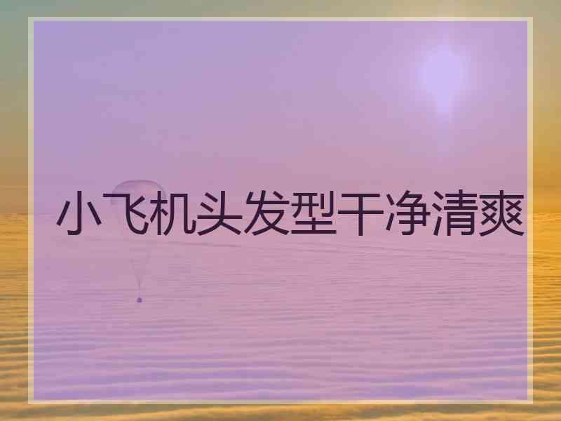 小飞机头发型干净清爽