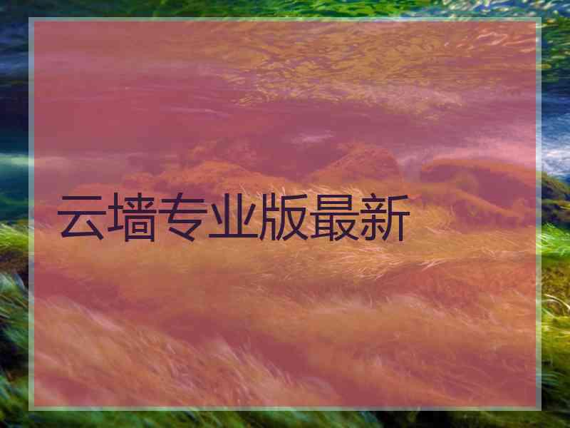 云墙专业版最新