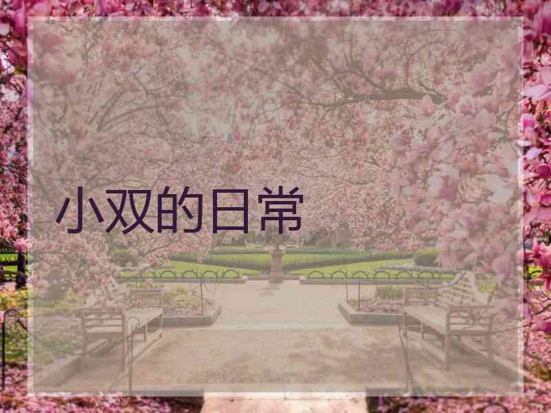 小双的日常