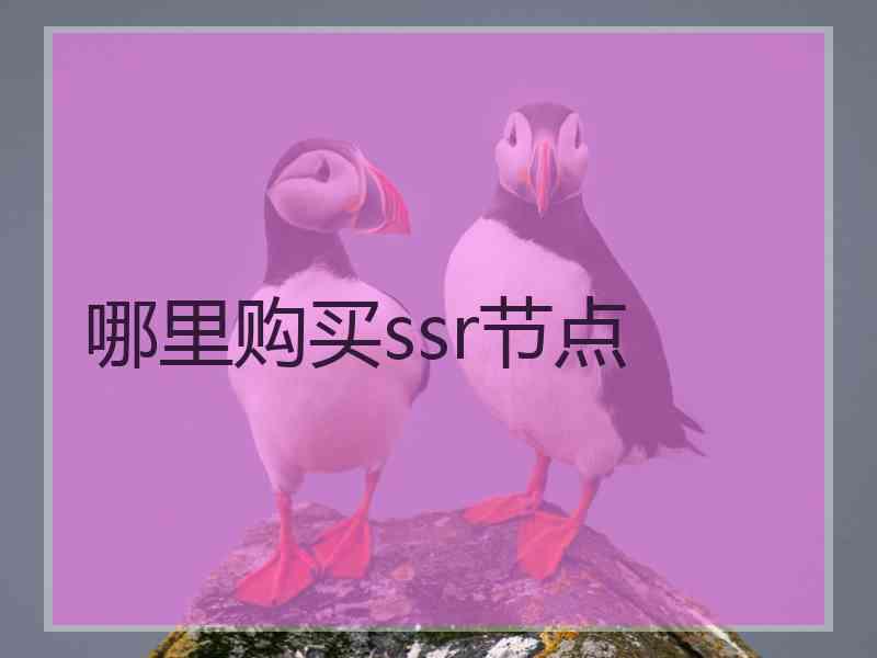 哪里购买ssr节点