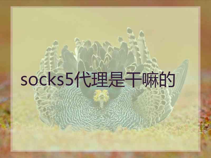 socks5代理是干嘛的