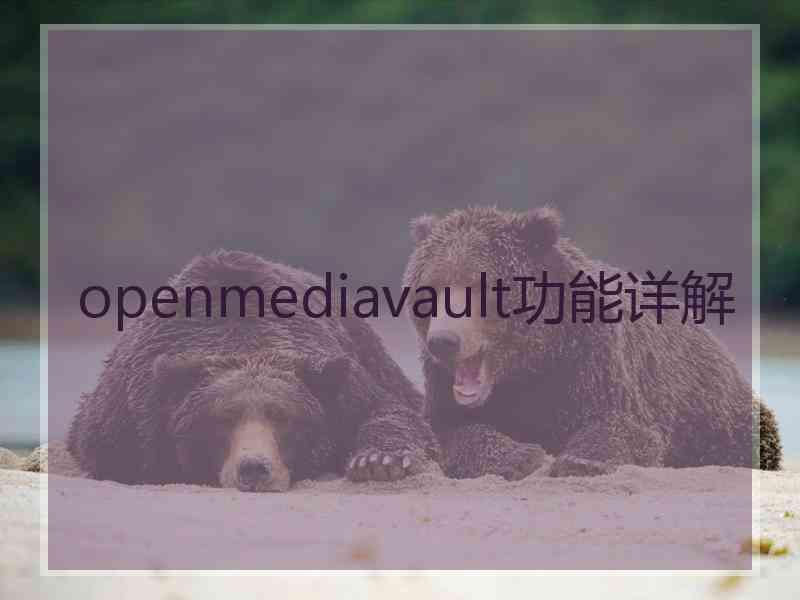 openmediavault功能详解