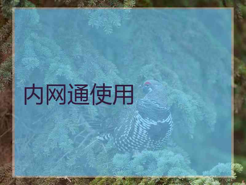 内网通使用