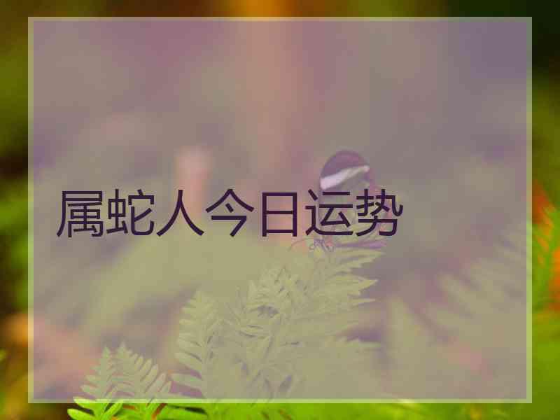 属蛇人今日运势