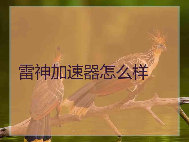 雷神加速器怎么样