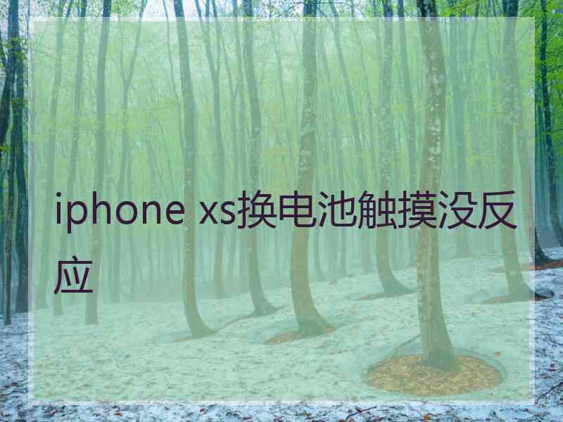 iphone xs换电池触摸没反应