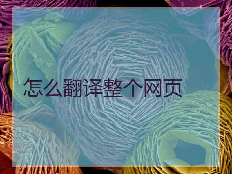怎么翻译整个网页
