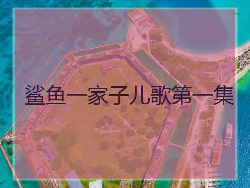 鲨鱼一家子儿歌第一集
