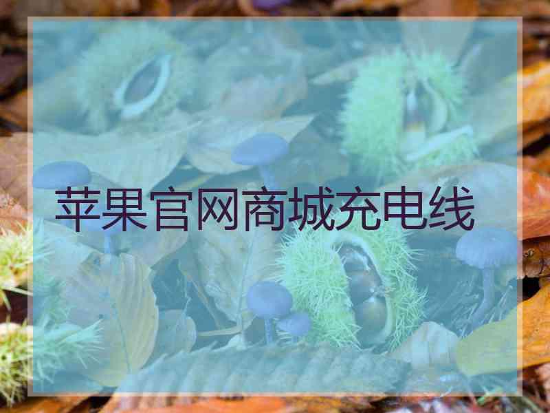 苹果官网商城充电线
